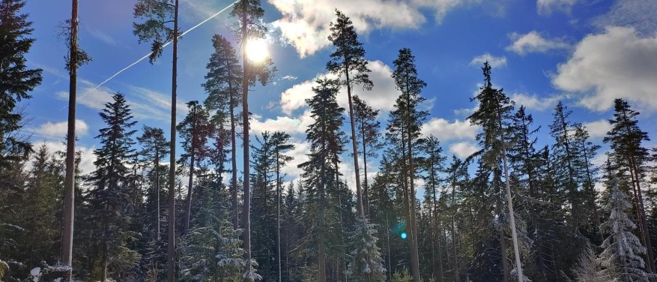 Bdapartmany Lipno nad Vltavou Esterno foto